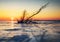 Winter landscape with snag on the frozen lake