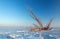 Winter landscape with snag on the frozen lake