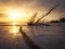 Winter landscape with snag on the frozen lake