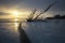 Winter landscape with snag on the frozen lake