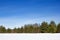 Winter landscape. Snow-covered field and forest on the horizon on a clear winter day. Nature of Russia in winter. White drifts and