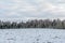 the Winter landscape. Snow-covered field and forest on the horizon on a clear winter day. Nature of Russia in winter. White drifts