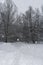 Winter landscape. Snow-covered trail, bare trees and snowfall.