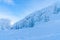 Winter landscape with snow covered trees and Alps in Seefeld, Austria