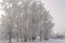 Winter landscape with snow drifts and garden snow covered