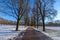 Winter landscape with snow and dry tree