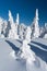 Winter landscape of snow ghosts - Harghita madaras