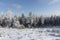 Winter landscape in snow at the mountain Feldberg in Hesse