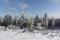 Winter landscape in snow at the mountain Feldberg in Hesse