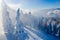 Winter landscape with snow on trees on mountain