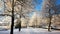 Winter Landscape with A Snowy Alley in The Sunshine