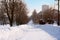 Winter landscape with snowy empty footpath and trees