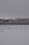 Winter landscape with snowy field and forest on the horizon. Quiet cloudy day