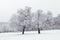 Winter landscape in snowy forest. Winter forest frozen trees.