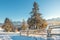 Winter landscape. Snowy nature in mountains in sunny frosty morning. Skiing resort in highlands at Christmas holidays