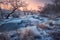 Winter landscape with snowy trees, beautiful frozen river at sun