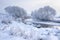 Winter landscape. Snowy trees on riverside. Cold frost weather. Hoarfrost on tree branches. Frosty nature background. Christmas