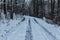 Winter landscape with snowy trees and snowmobile path