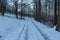 Winter landscape with snowy trees and snowmobile path