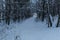 Winter landscape with snowy trees and snowmobile path