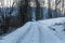 Winter landscape with snowy trees and snowmobile path