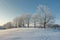 Winter landscape. Snowy trees on white meadow in morning sunlight. footptints track in the snow, Scenic frosty nature in ,Latvia