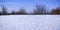 Winter landscape. Sparkling snow, bare trees and blue sky