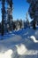 Winter landscape, Spicak, Bohemian Forest, Czech Republic