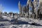 Winter landscape, Spicak, Bohemian Forest, Czech Republic