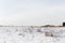 Winter landscape, steppe.