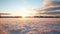 Winter Landscape: Stunning Sunlit Grass In Rural Finland