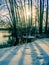 Winter landscape with sun setting among the trees at the lake s