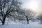 Winter landscape. Sunrise . Fields and trees are covered with sn