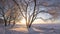 Winter landscape at sunrise. Snowy trees. Frosty nature. Trees with hoarfrost on lake shore covered by snow. Warm yellow sunlight