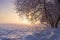 Winter landscape at sunset. Christmas nature background. Colorful winter with sun. Frosty trees. Beautiful Xmas scene