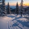 Winter landscape on a sunset. Mountains Carpathians, Ukraine made with Generative AI