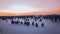 Winter landscape with sunset over field