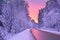 Winter landscape with sunset,road and forest