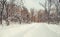 Winter landscape. Thick branches of trees covered with fluffy and sparkling snow against a blue nea in a winter park. Winter