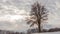 Winter landscape, timelapse of flying clouds above lonely tree with sun rays. Timelapse.