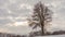 Winter landscape, timelapse of flying clouds above lonely tree. Timelapse.