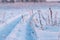 winter landscape, tire tracks on the snow, snow road