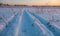 winter landscape, tire tracks on the snow, snow road