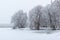 Winter landscape. Trees are covered with frost