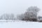 Winter landscape. Trees are covered with frost