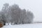 Winter landscape. Trees are covered with frost