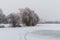 Winter landscape. Trees are covered with frost