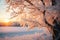 A winter landscape with trees covered in snow and ice.