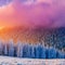 Winter landscape trees in frost. Carpathian, Ukraine, Europe.