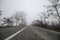 Winter landscape of trees silhouette growing near a road. And around, the surrounding fog. Road to Sheki, Azerbaijan